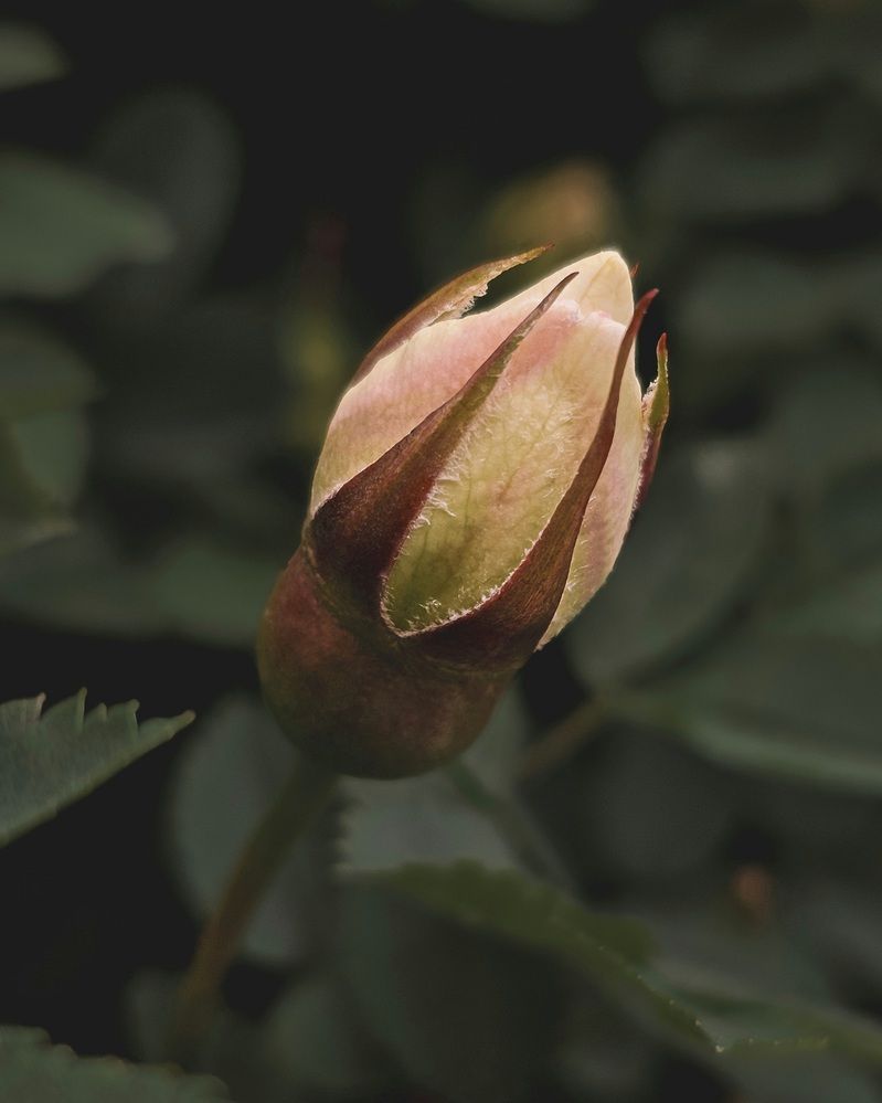 Photograph by Екатерина Сенько