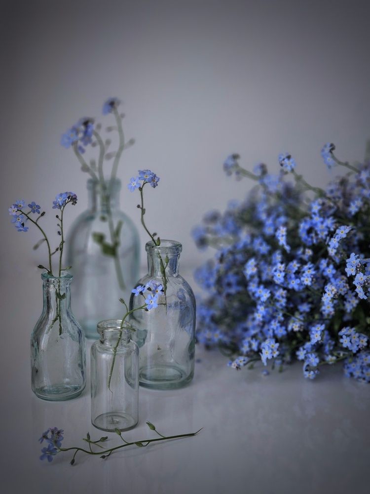 Photograph by Ольга Захарикова