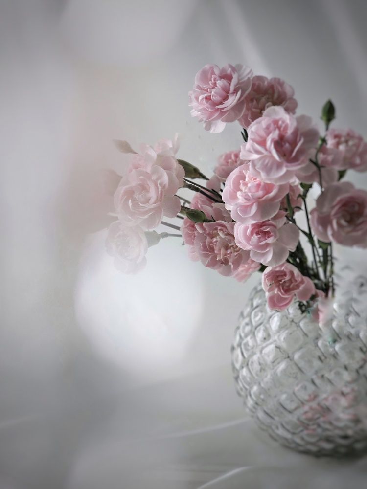 Photograph by Ольга Захарикова