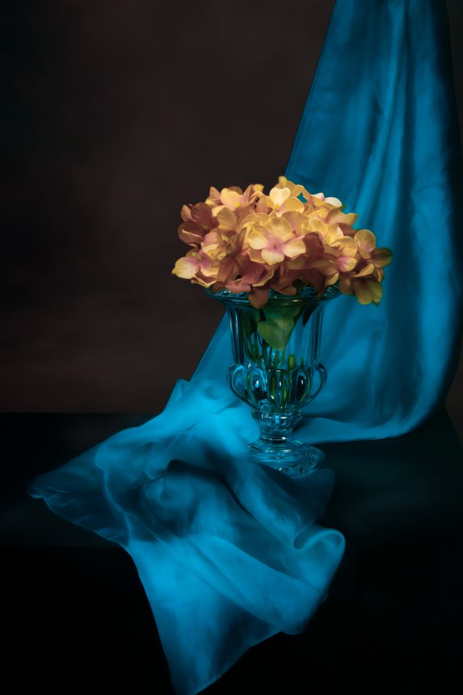 Photograph by AGUINALDO MATOS OLIVEIRA