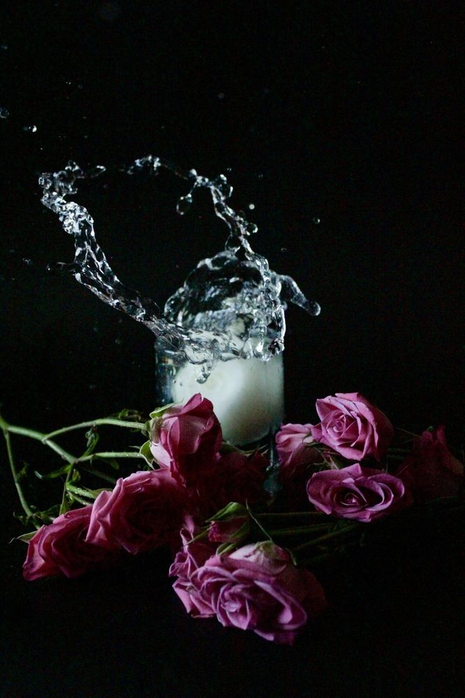 Photograph by Екатерина Корчагина