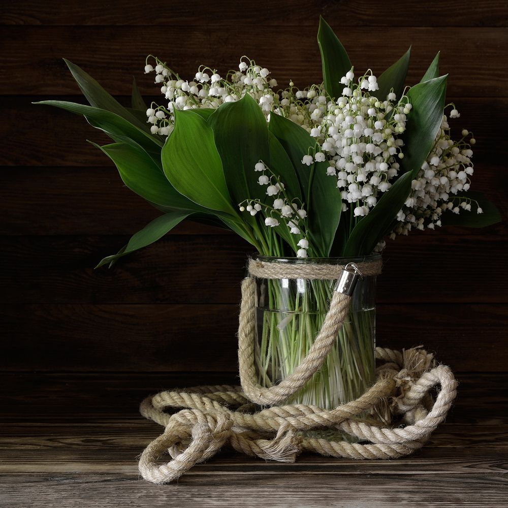 Photograph by Гурьев Григорий