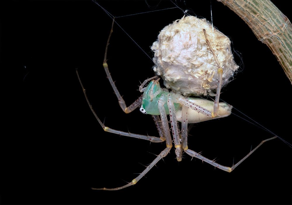 Photograph by ghaniya Almajrafi