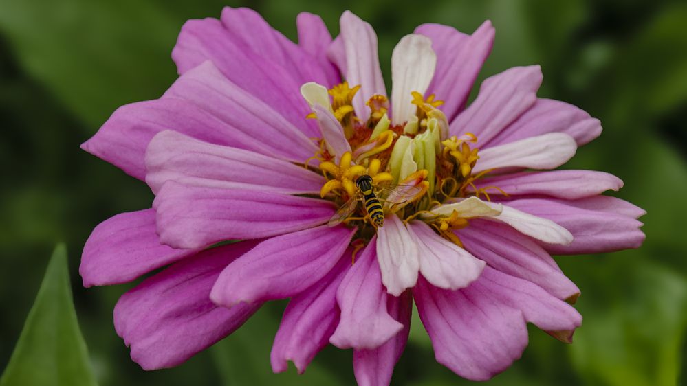 Photograph by Добродий Михаил