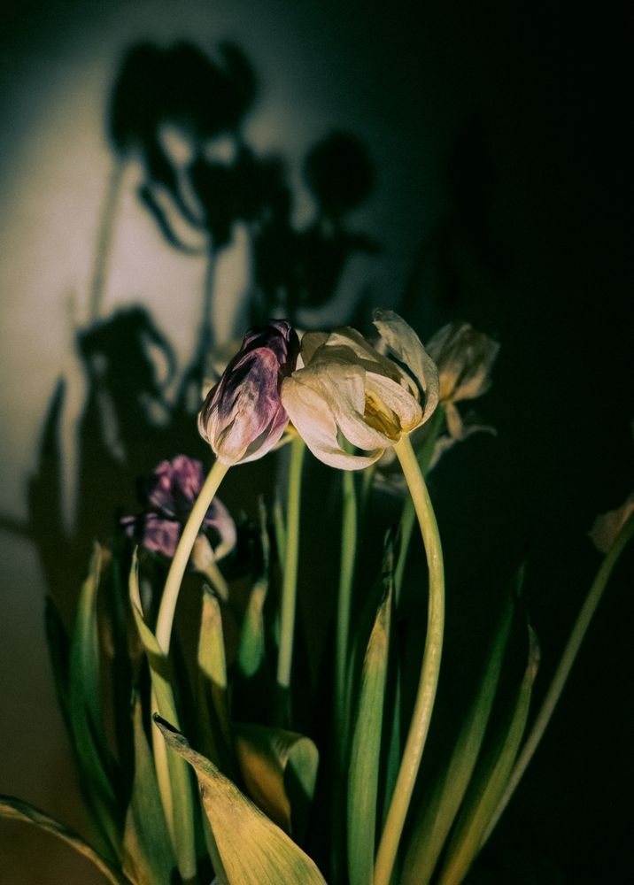 Photograph by Дарья