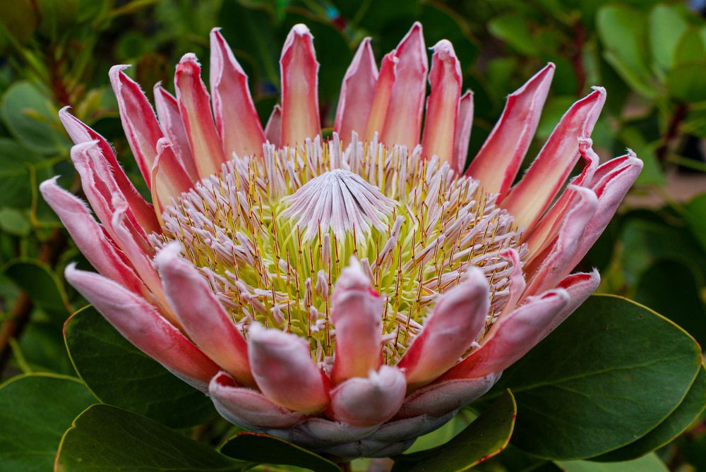 Photograph by Добродий Михаил