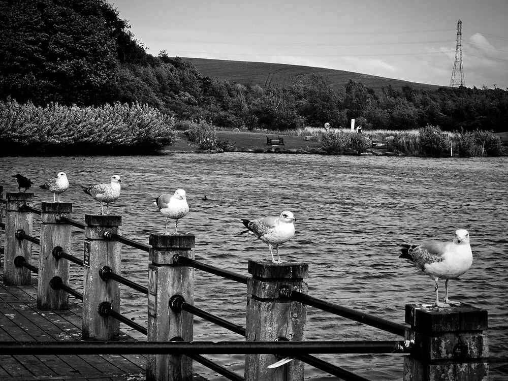 Photograph by Ekaterina Kozlova