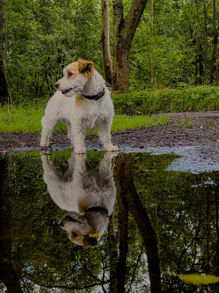 Photograph by Елена Данченко
