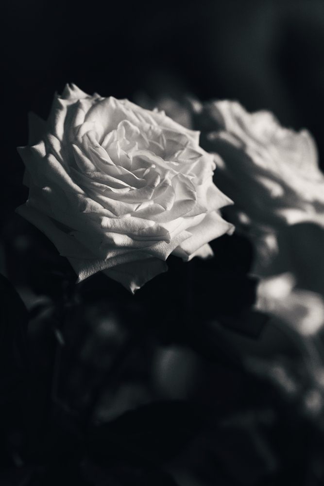 Фотография автора Alina Efimova