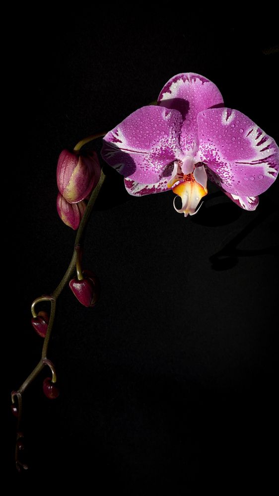 Photograph by Ирина Usanova