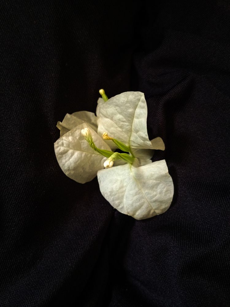 Photograph by Hager Ramadan