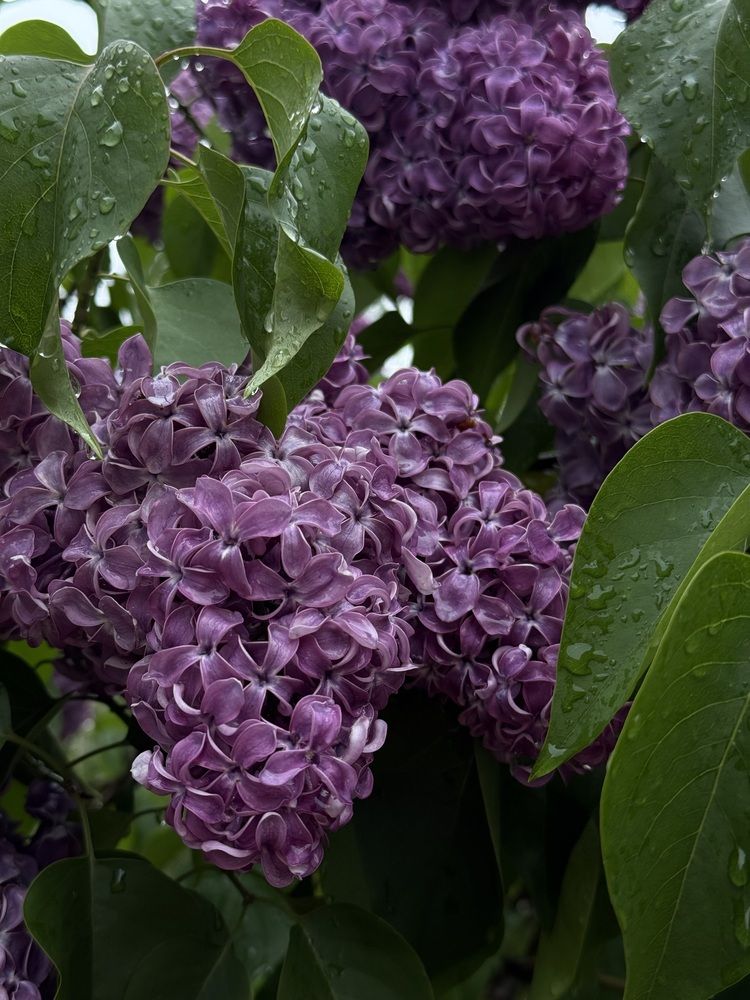 Photograph by Марта