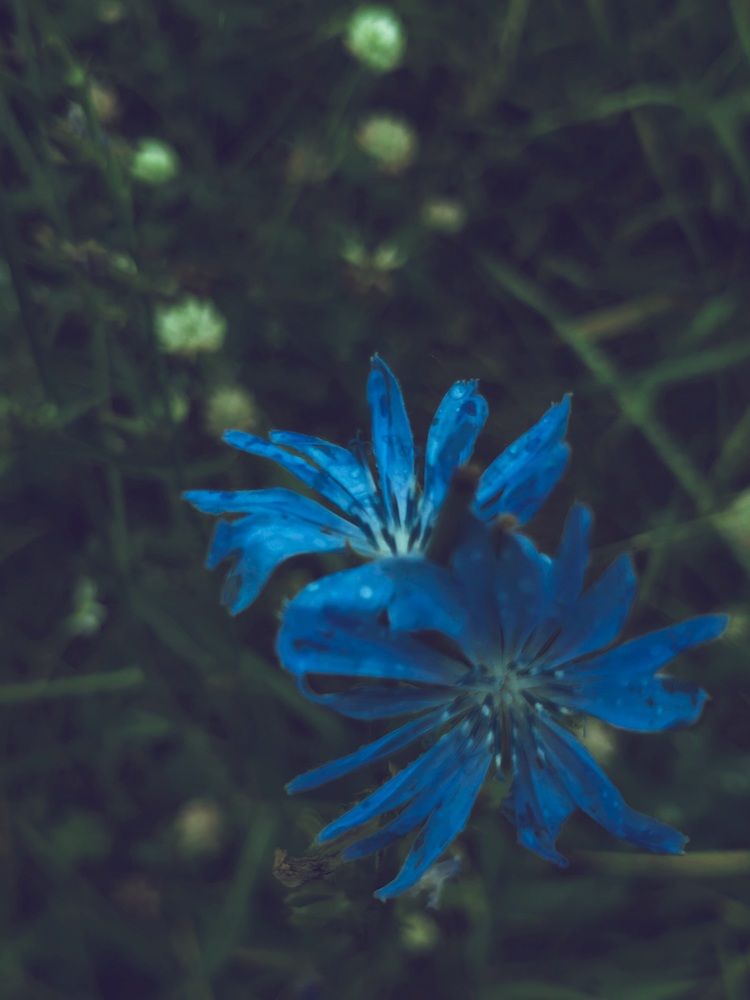 Photograph by Светлана Морева