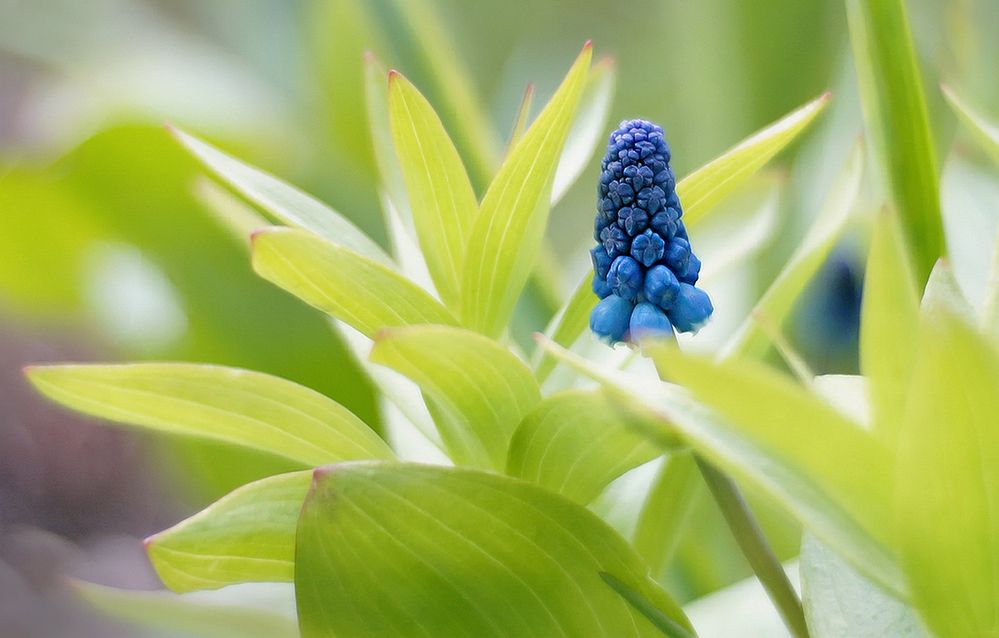 Фотография автора Е лена Е