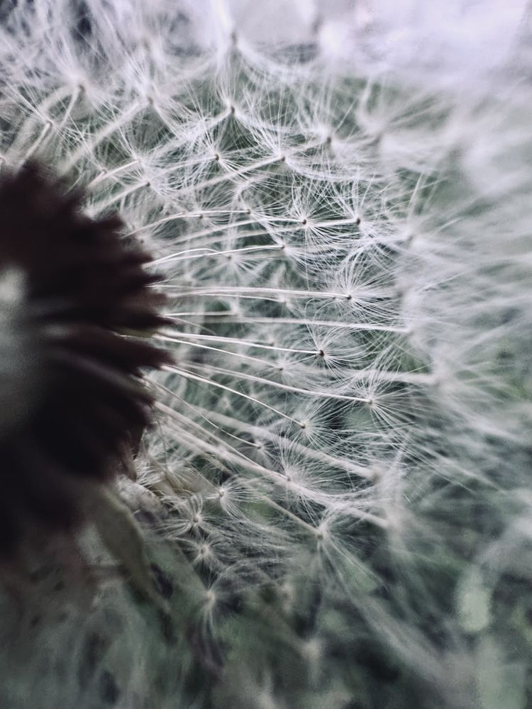 Photograph by Юлия Чернышёва