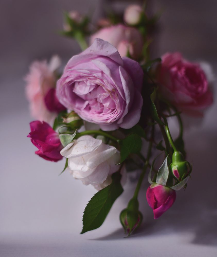 Photograph by Божена Пучко