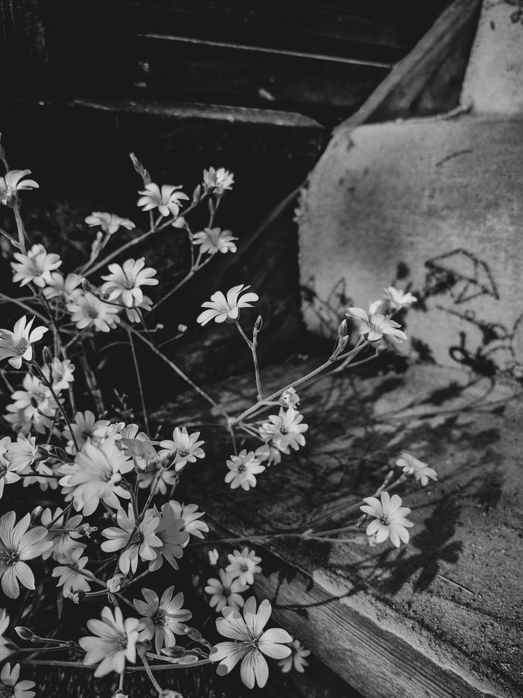 Photograph by Светлана Морева