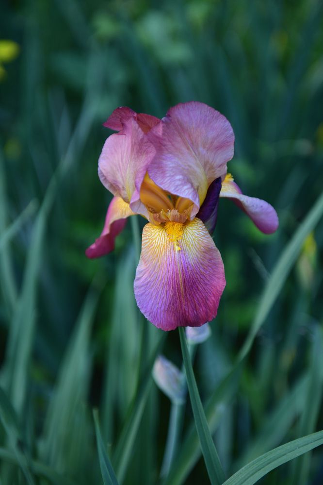 Photograph by Божена Пучко