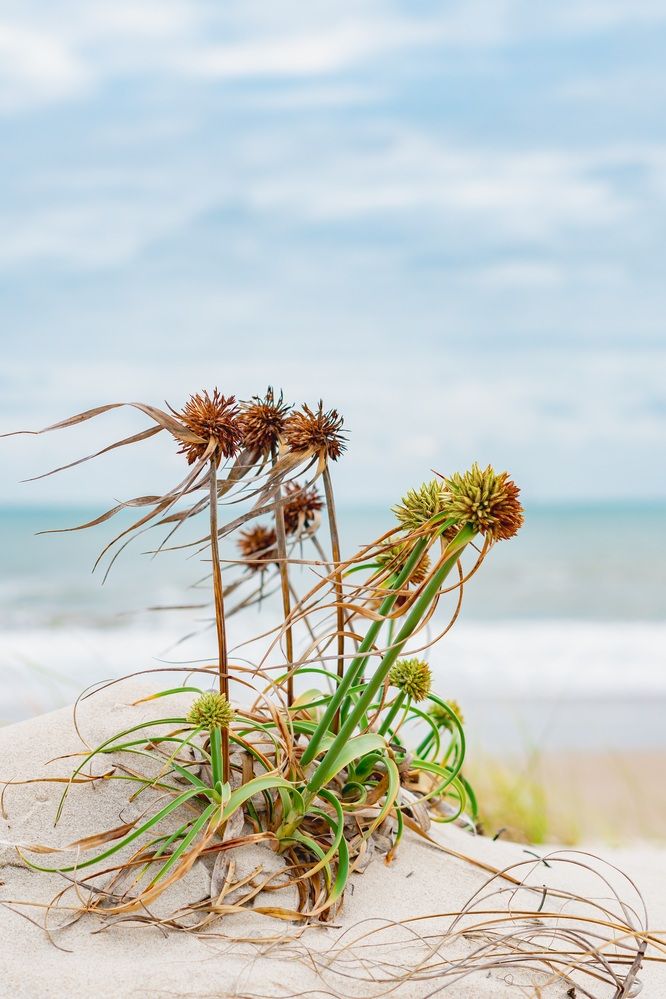 Фотография автора Antonio Etevaldo Rodrigues Junior