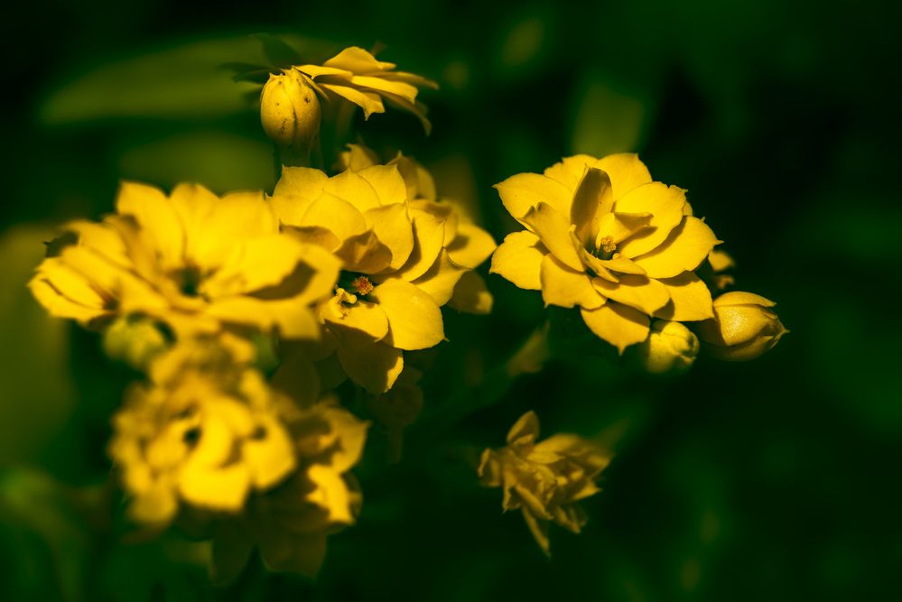 Photograph by Kveta Novotna