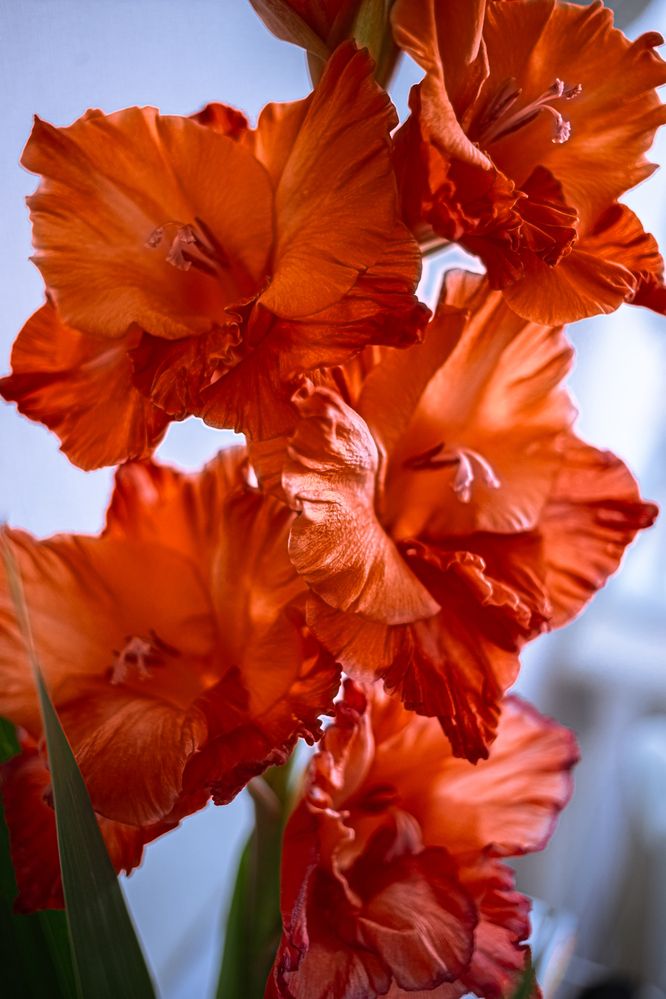 Photograph by Виталий Са