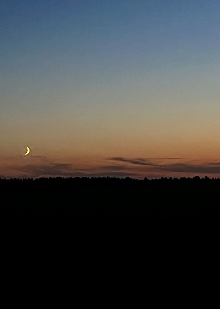 Photograph by Ольга Белоусова