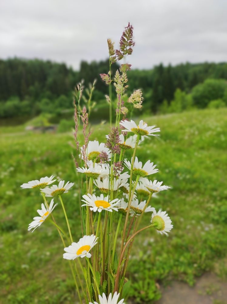 Photograph by Татьяна Никулина