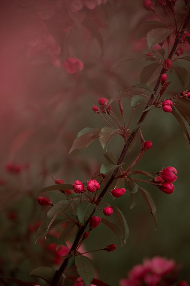 Photograph by Елена Гостева