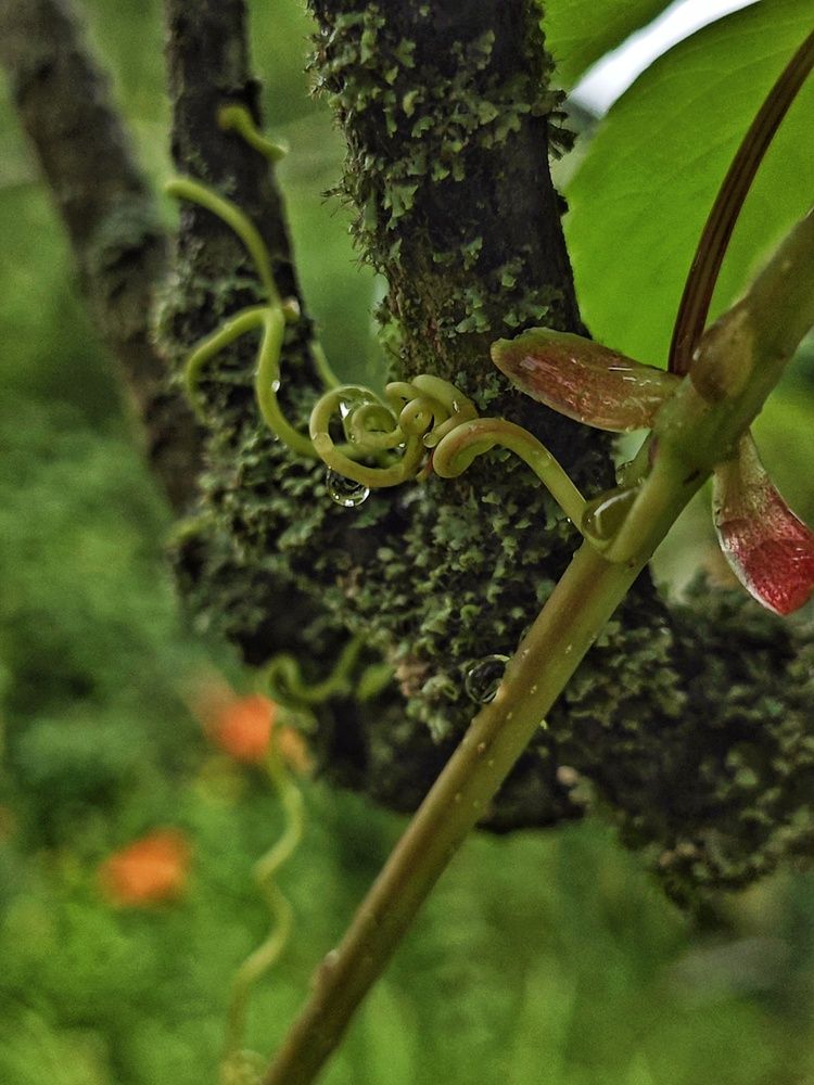 Photograph by Tatiana Potapenko