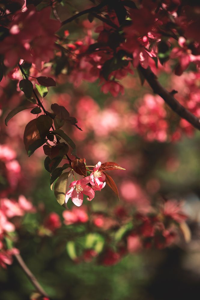 Photograph by Елена Гостева