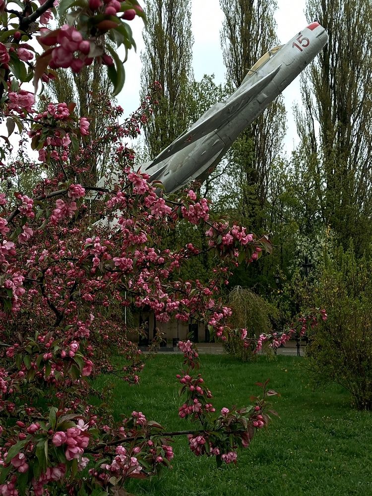 Photograph by Виктор Савельев