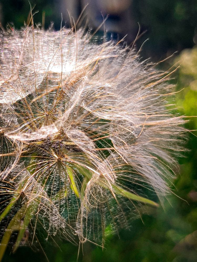 Photograph by Евгения Гродинская