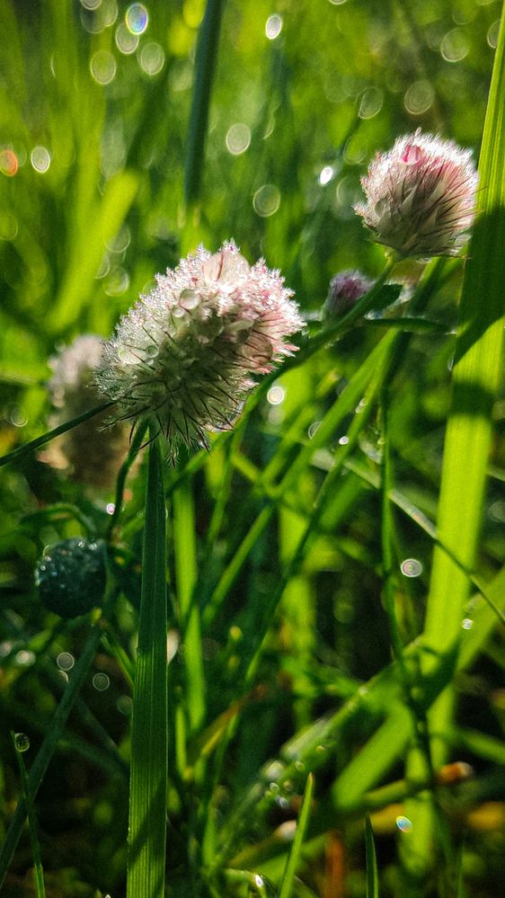 Photograph by Евгения Гродинская