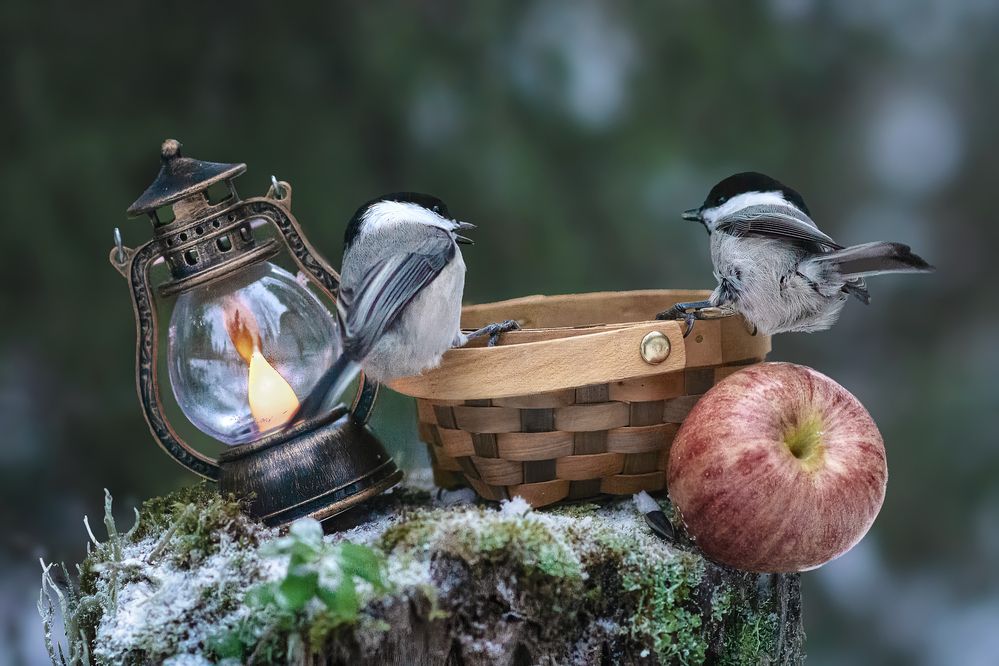 Photograph by Olga Akhmetova