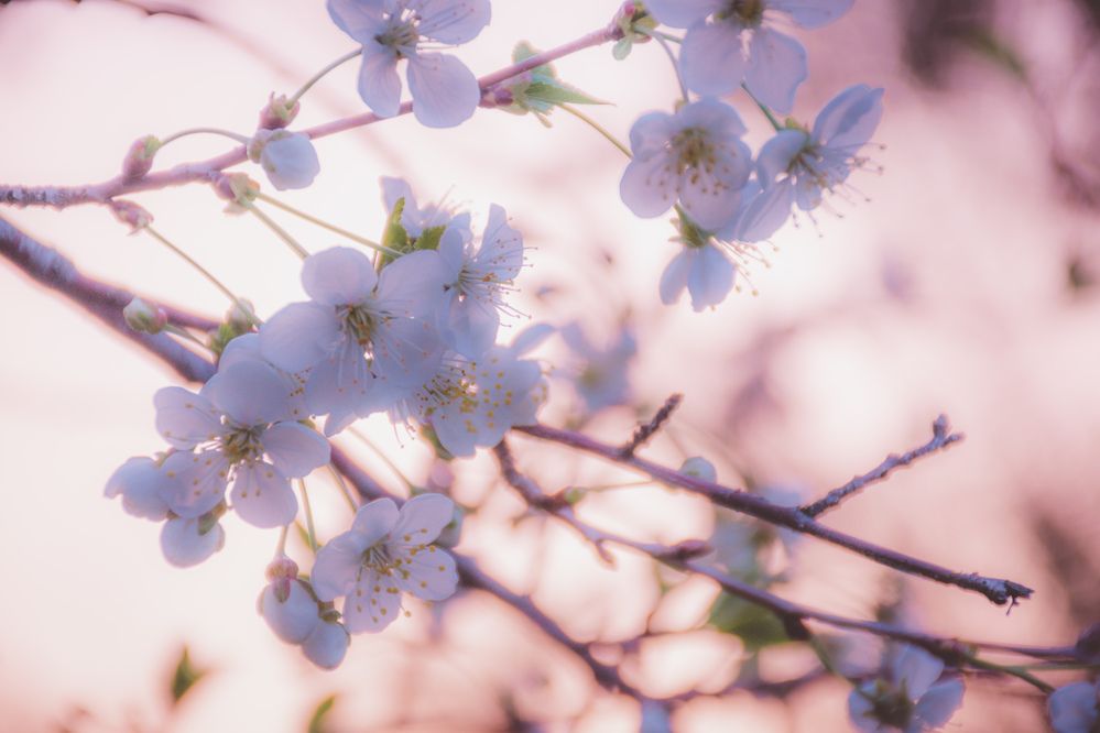 Фотография автора Данил Дорошенко