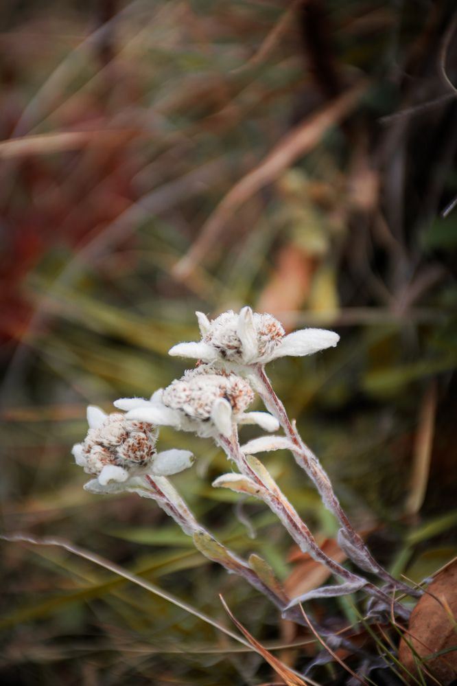 Фотография автора Данил Дорошенко