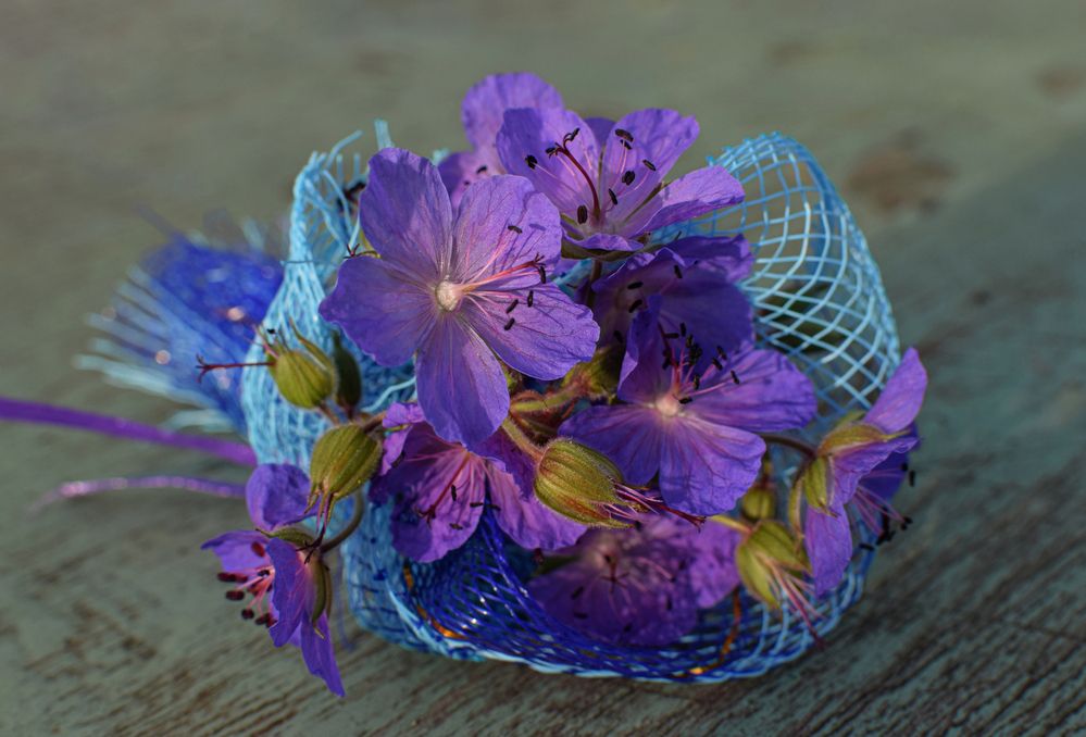 Фотография автора Оксана Льдинина