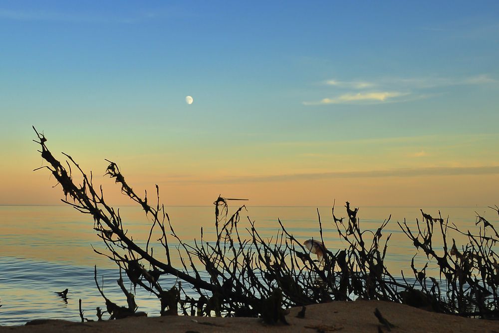 Чудское озеро