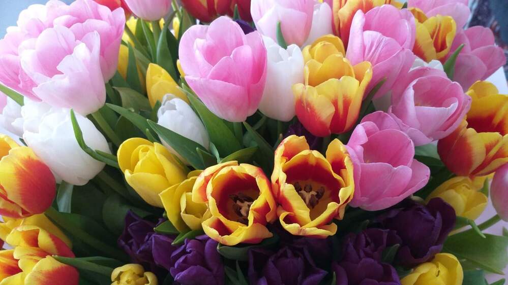 Photograph by Нина Романюк