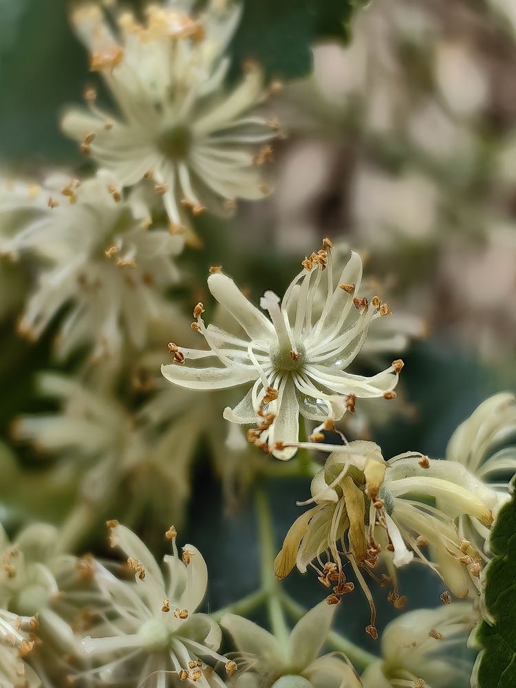 Photograph by Гульназ Шайхисламова