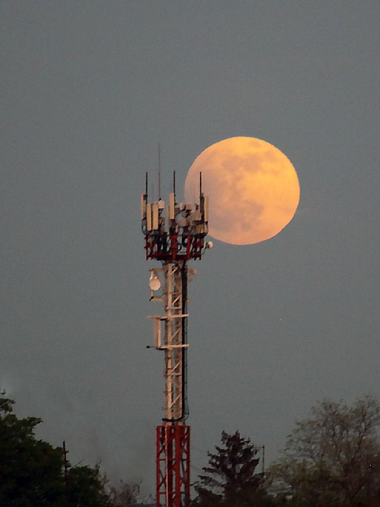 Photograph by Алексей Коношонкин