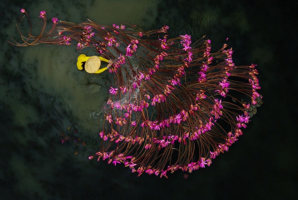 Photograph by Tam Phan Minh Minh