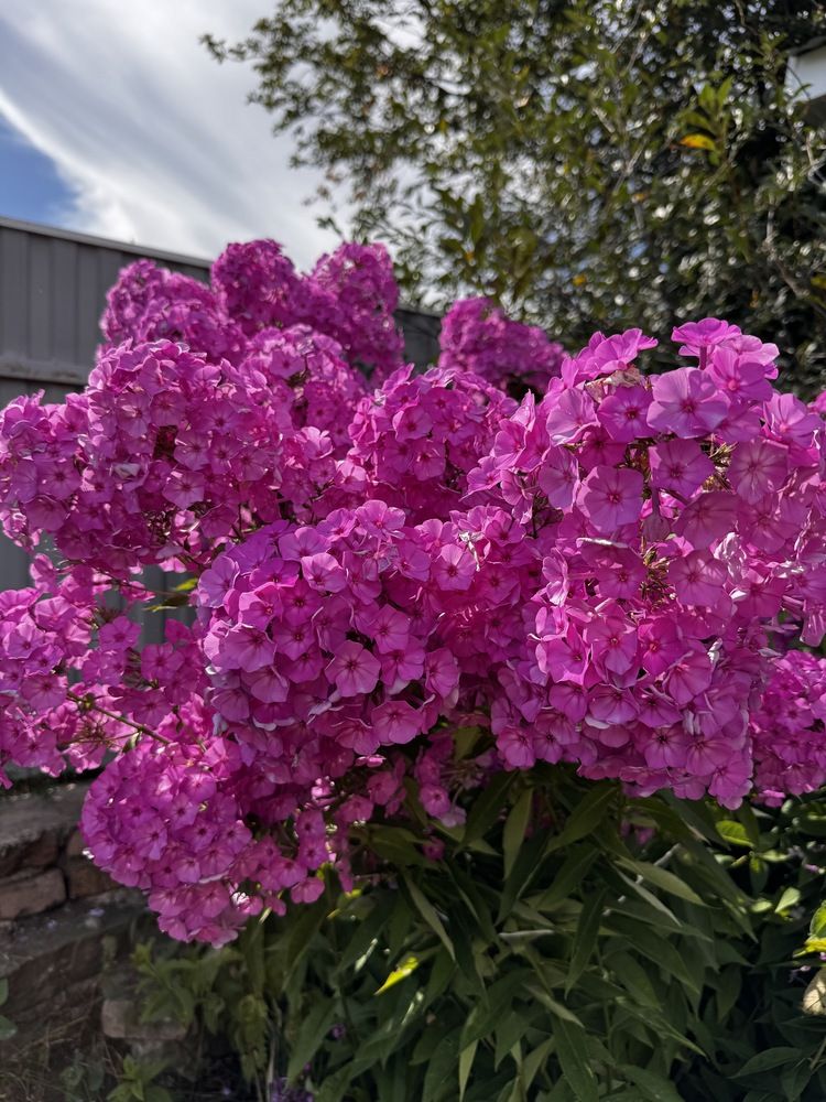 Фотография автора Илиза Майнурова