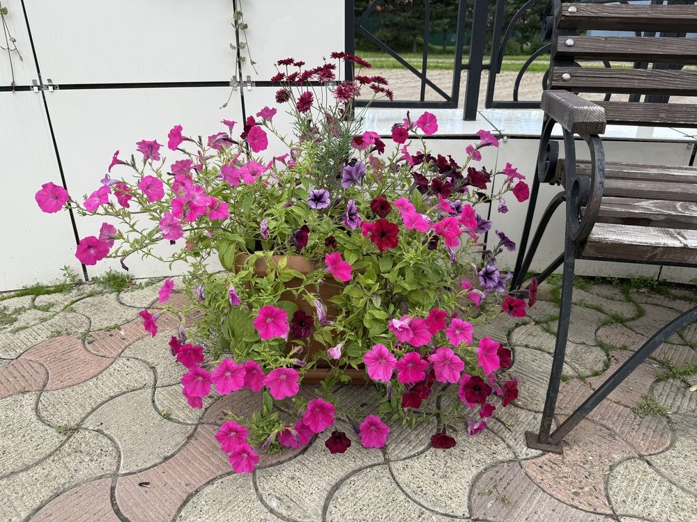 Photograph by Владислав Рубцов