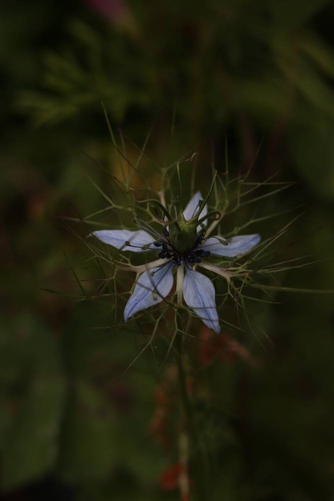 Фотография автора Лилия Хохлова