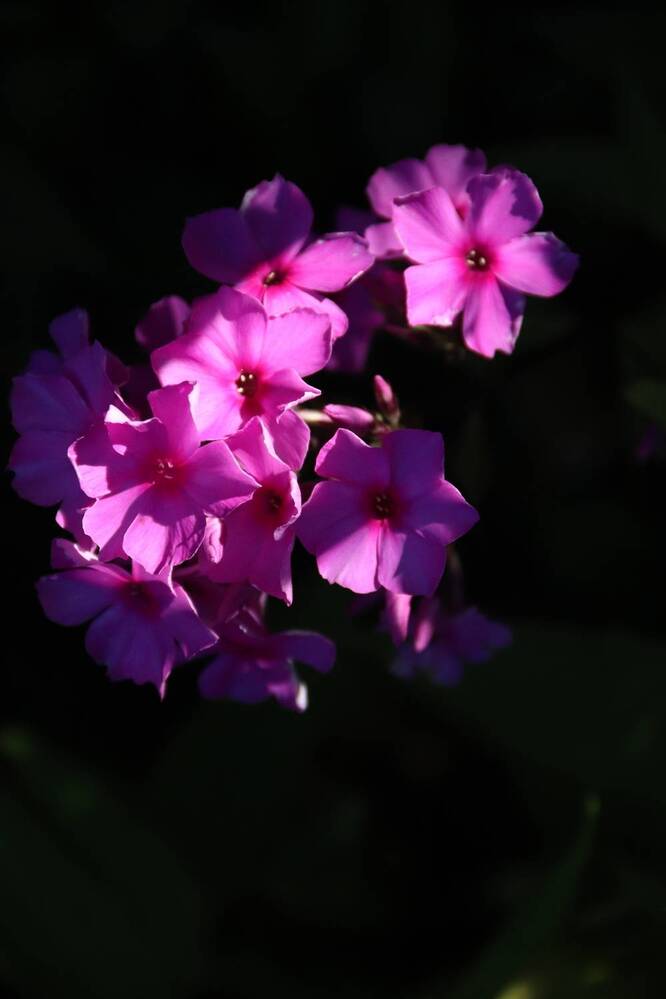 Фотография автора Лилия Хохлова