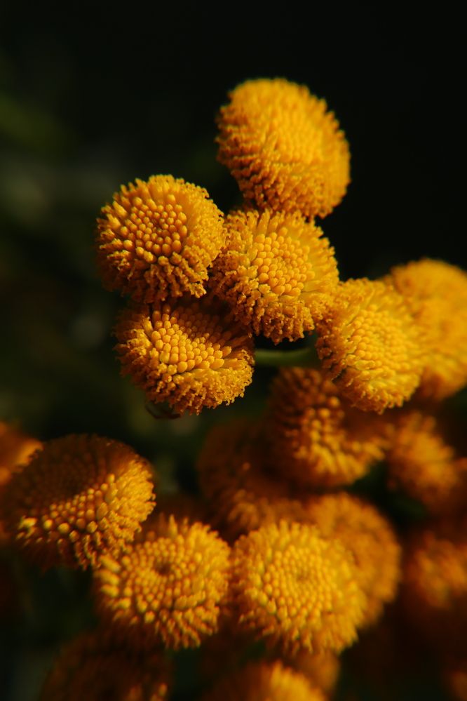 Photograph by Лилия Хохлова