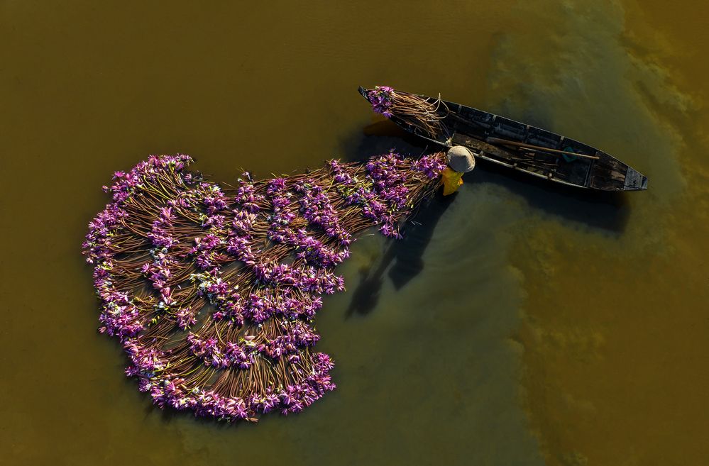 Photograph by Tam Phan Minh Minh