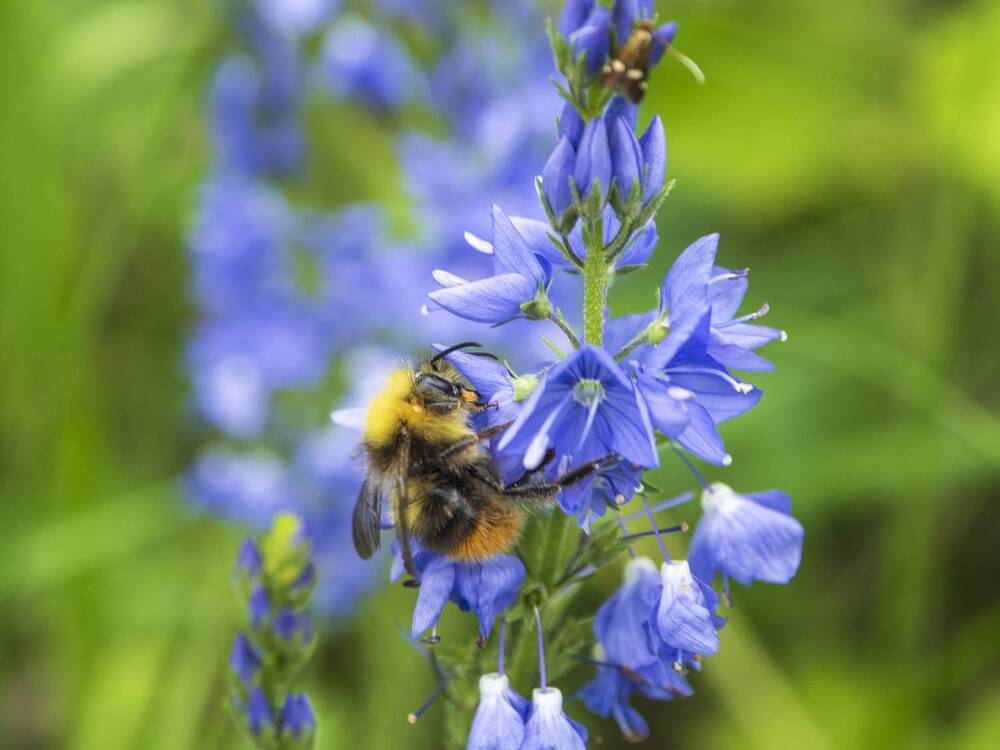 Photograph by Надежда Михайлина