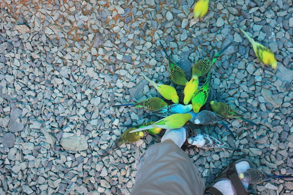 Photograph by Елена Поспелова